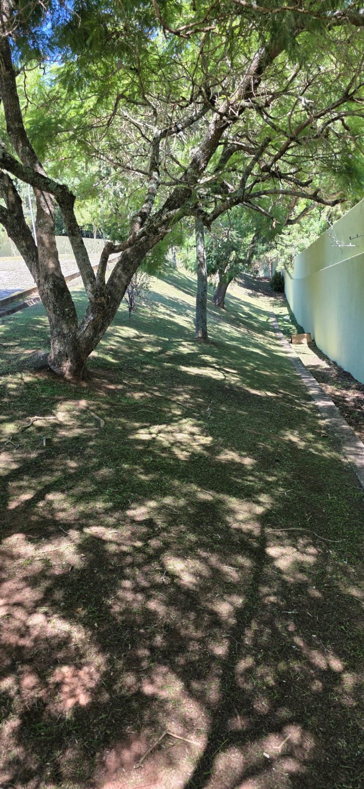 Projeto 5